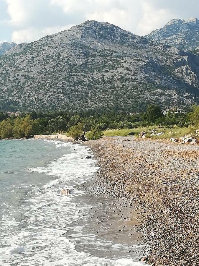 Apartments Veni Up Starigrad Paklenica Ngoại thất bức ảnh